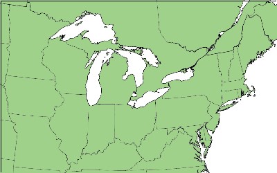 Range map for Maple Spanworm