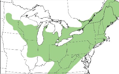 Range map for Morrison's Sallow
