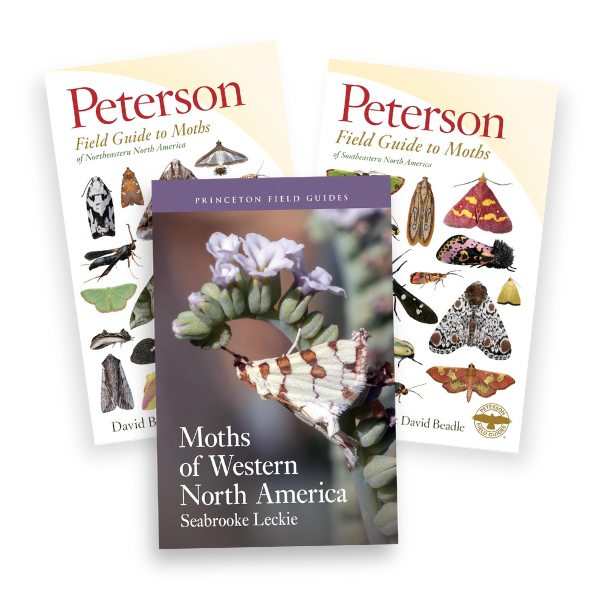 Three field guides to the moths of North America